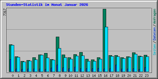 Stunden-Statistik im Monat Januar 2026