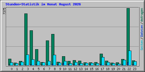 Stunden-Statistik im Monat August 2026